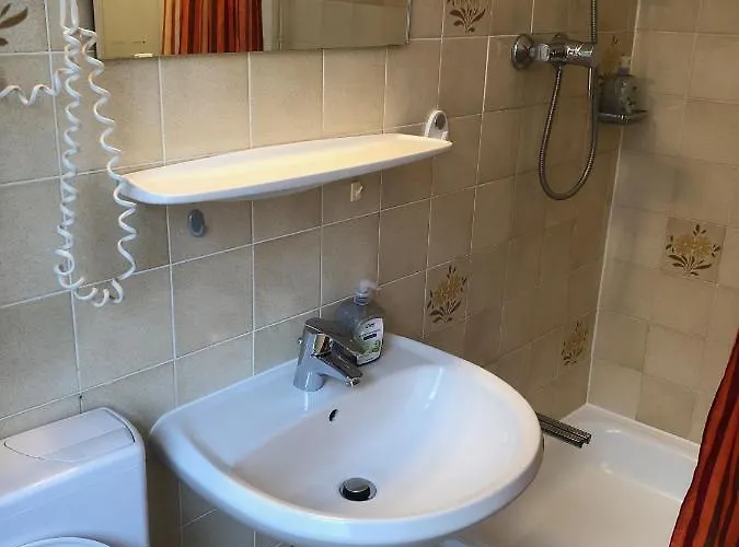 ペンション シュメラーガルテン 2*